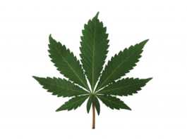 Loudpack Farms is now Greenfield’s largest employer