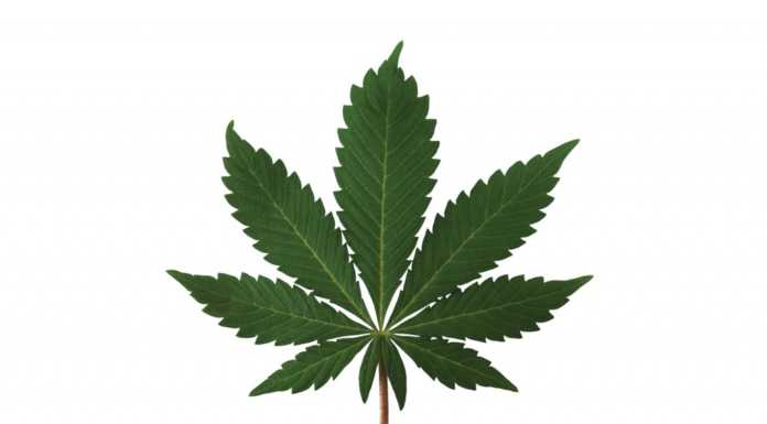 Loudpack Farms is now Greenfield’s largest employer