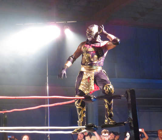 WRESTLING REVOLUTION