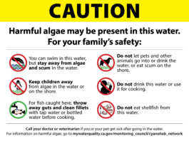 Algae warnings reduced at Lake San Antonio