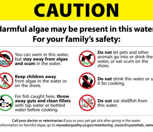 Algae warnings reduced at Lake San Antonio