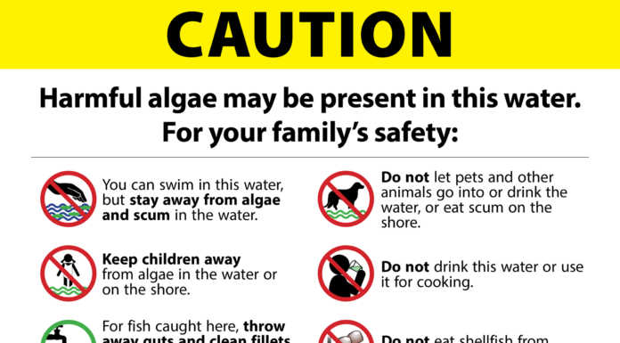 Algae warnings reduced at Lake San Antonio