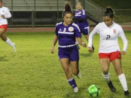 Soccer | South County weekly roundup