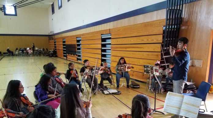 Violins, violas and cellos — oh my!