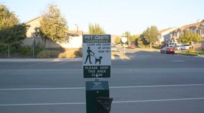 City installs new dog waste bag dispensers