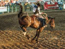 Saddle up for Ranch Rodeo competition
