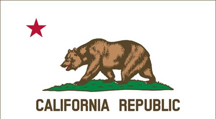 New year brings new laws