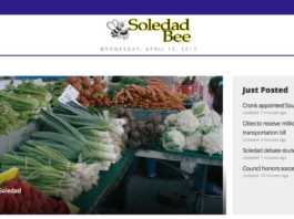 Soledad Bee launches new website