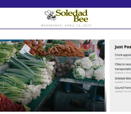 Soledad Bee launches new website