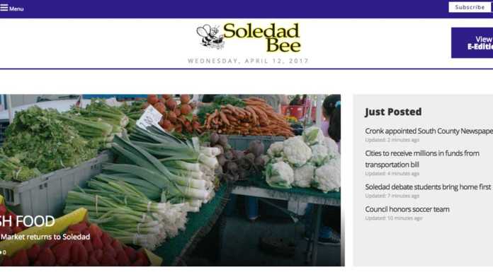 Soledad Bee launches new website