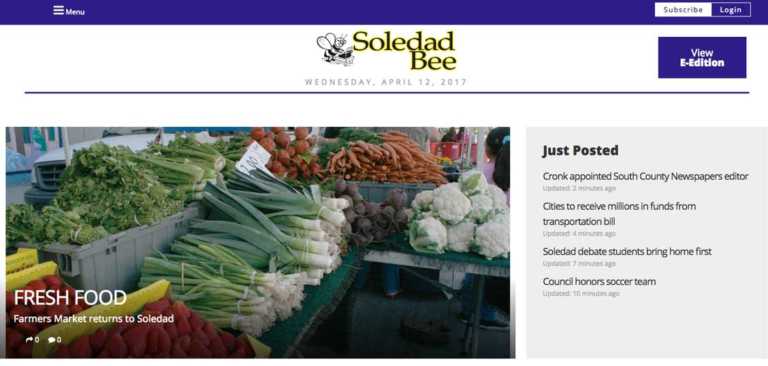 Soledad Bee launches new website