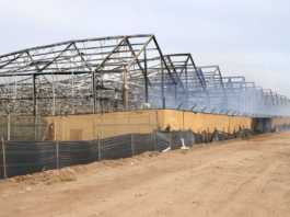 Fire destroys cannabis greenhouses at Loudpack Farms