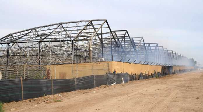 Fire destroys cannabis greenhouses at Loudpack Farms