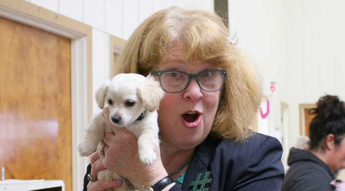 South County Animal Rescue hosts first Sweetheart Tea Party