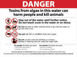 Dangerous algae bloom found in Lake San Antonio