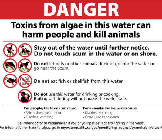 Dangerous algae bloom found in Lake San Antonio