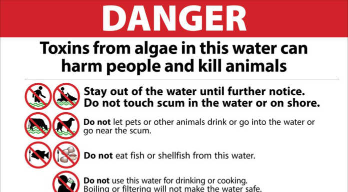 Dangerous algae bloom found in Lake San Antonio