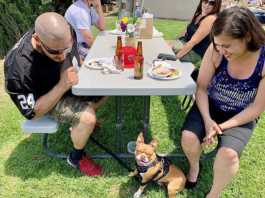 Pinot for Paws raises funds for local animal rescue group