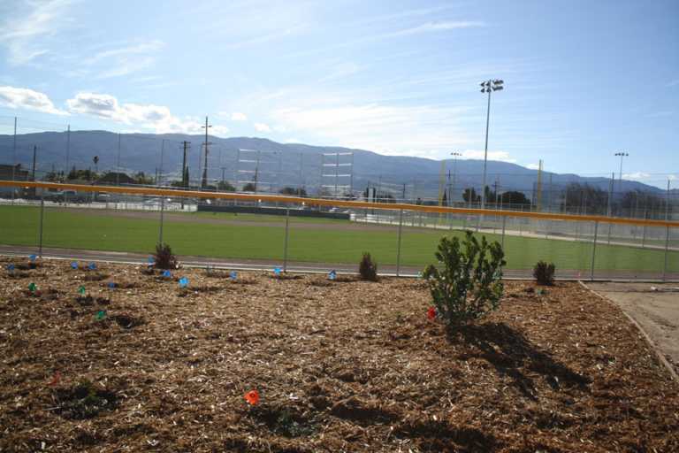 Play ball