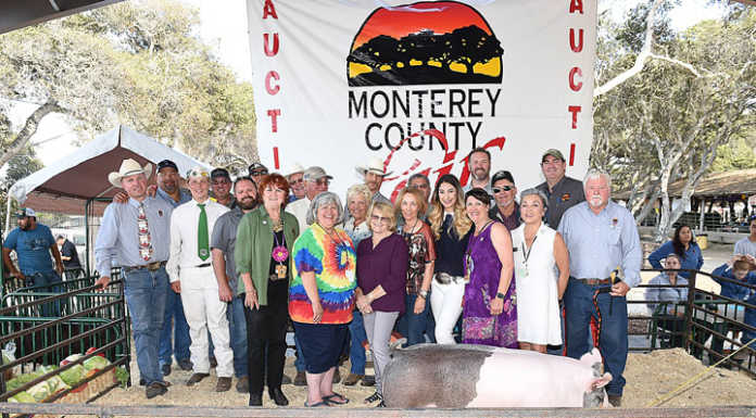 Gonzales student's heritage hog sells for $33K