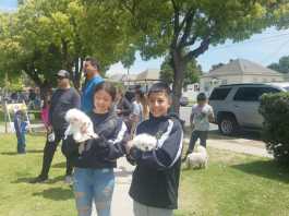 Organizations team up for pet vaccination clinic