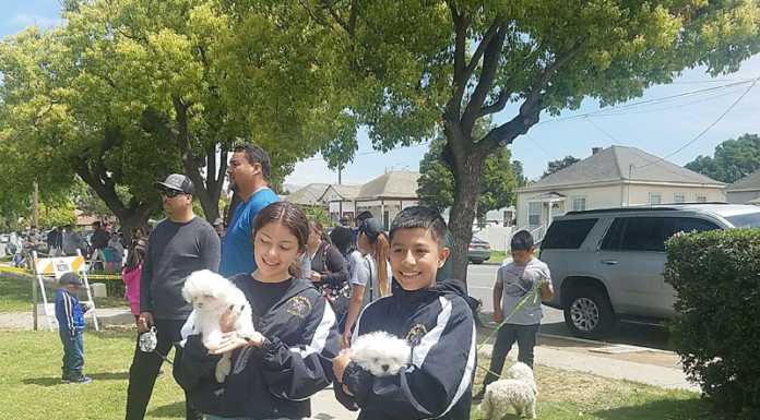 Organizations team up for pet vaccination clinic