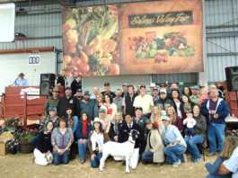 Heritage goat sells for $108K at livestock auction