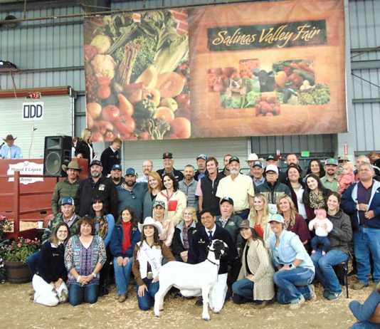 Heritage goat sells for $108K at livestock auction