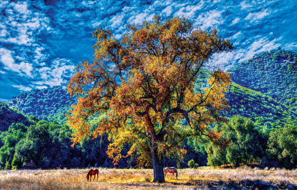 Arts Council announces Fine Arts Calendar artist receptions