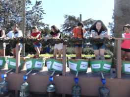 Mission Fiesta brings community together