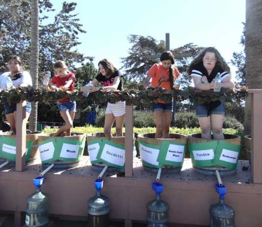 Mission Fiesta brings community together