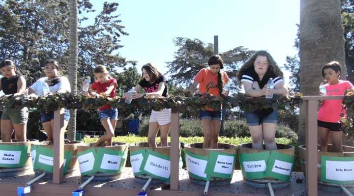 Mission Fiesta brings community together