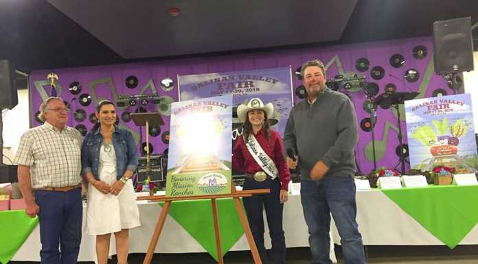 Live auction raises more than $100K for fair