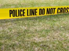 Man shot and killed on Vosti Avenue