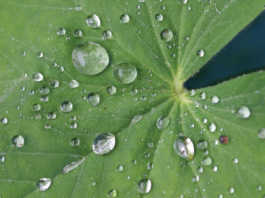 Water rights case against county moves forward
