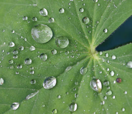 Water rights case against county moves forward