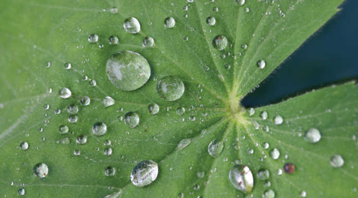 Water rights case against county moves forward