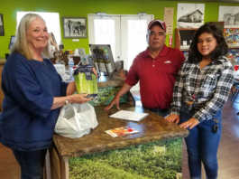 Free veggies distributed during ‘Salad Day’