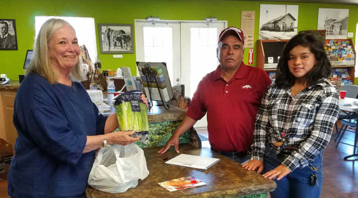 Free veggies distributed during ‘Salad Day’