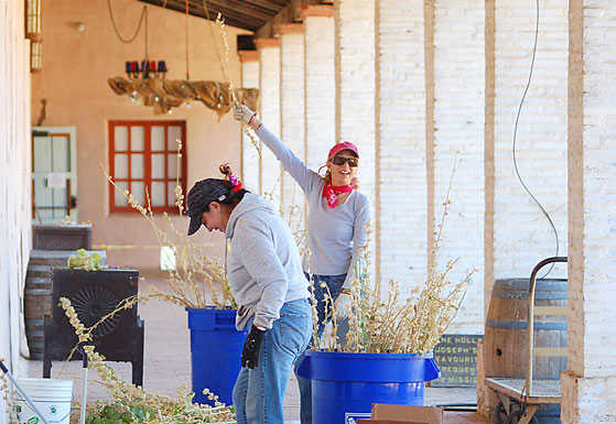 Working hard: Residents help clean up Mission San Antonio