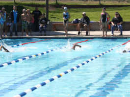 Sharks vs. Stingrays