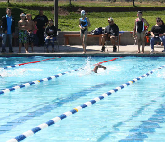 Sharks vs. Stingrays