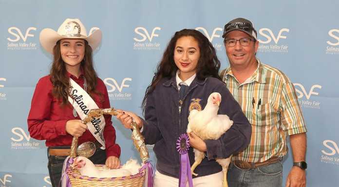 Salinas Valley Fair cancels poultry show