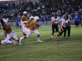 Teams excel at jamboree