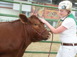 Salinas Valley Fair set for May 18-21