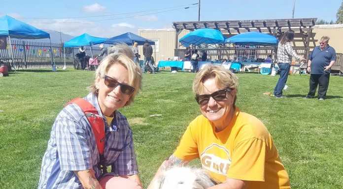 SCAR’s 2nd Annual Dog Days of Summer a howling success