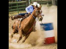 Nearly 600 barrel racers expected to compete at fairgrounds