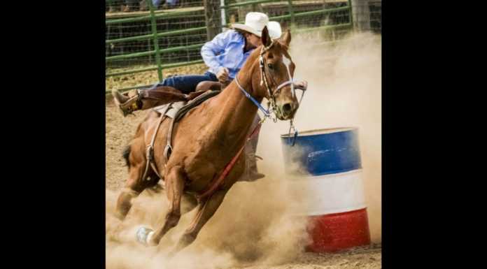 Nearly 600 barrel racers expected to compete at fairgrounds
