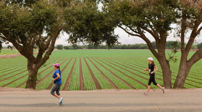 Salinas Valley Half Marathon returns this year