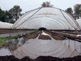From dry to drenched — How local farmers deal with drastically changing conditions
